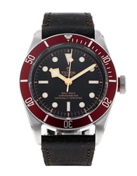 Tudor Heritage Black Bay 79230R-0003